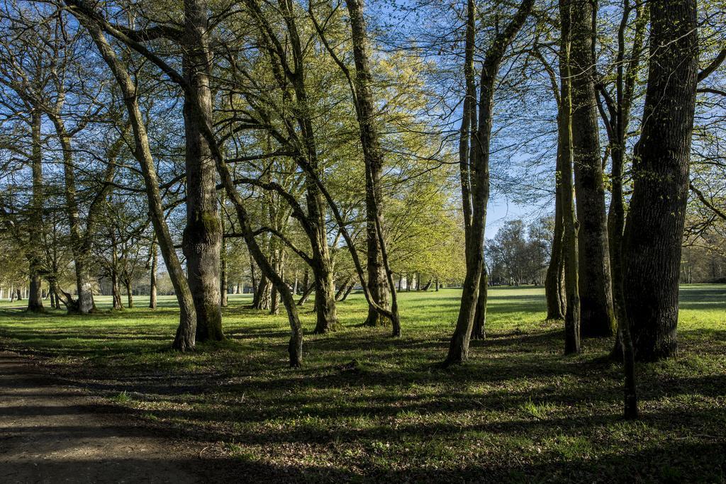 Chateau Des Briottieres شامْبينْيِ المظهر الخارجي الصورة